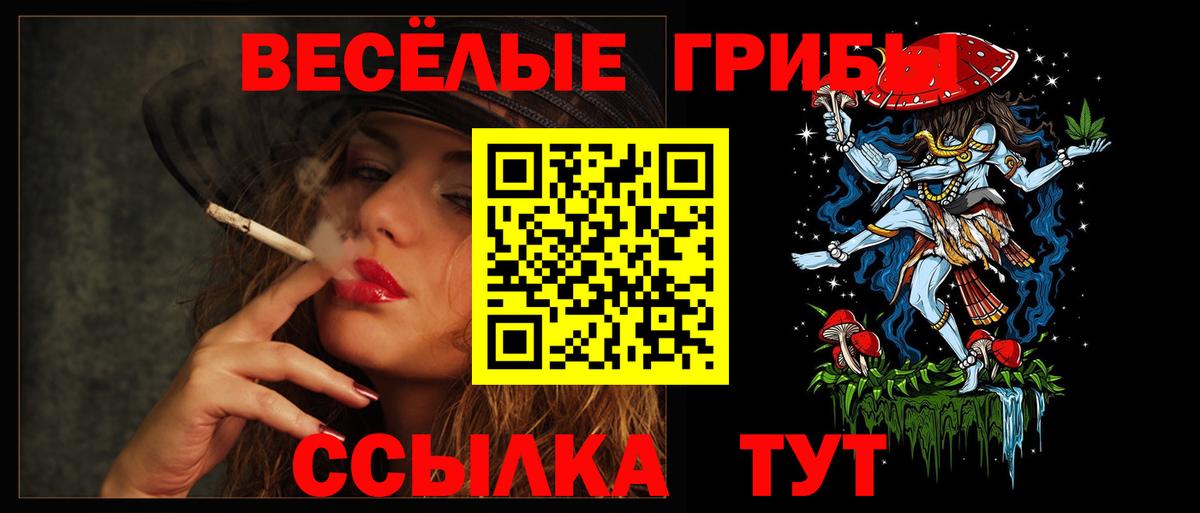 Галлюциногенные грибы GOLDEN TEACHER  Вход с VPN  Димитровград 