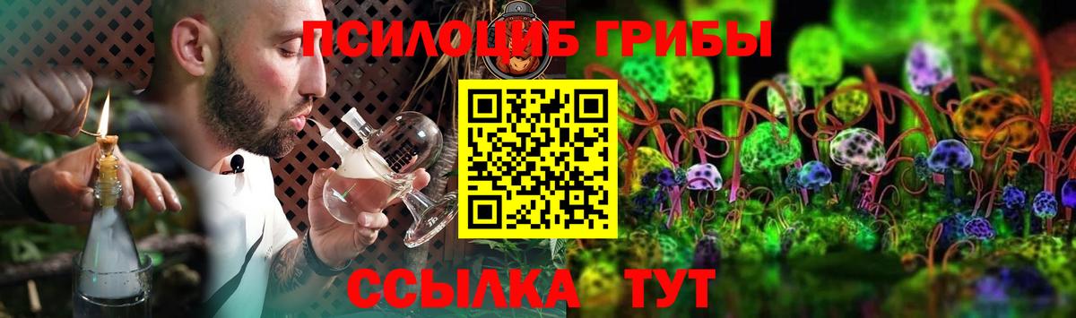 Псилоцибиновые грибы GOLDEN TEACHER Димитровград